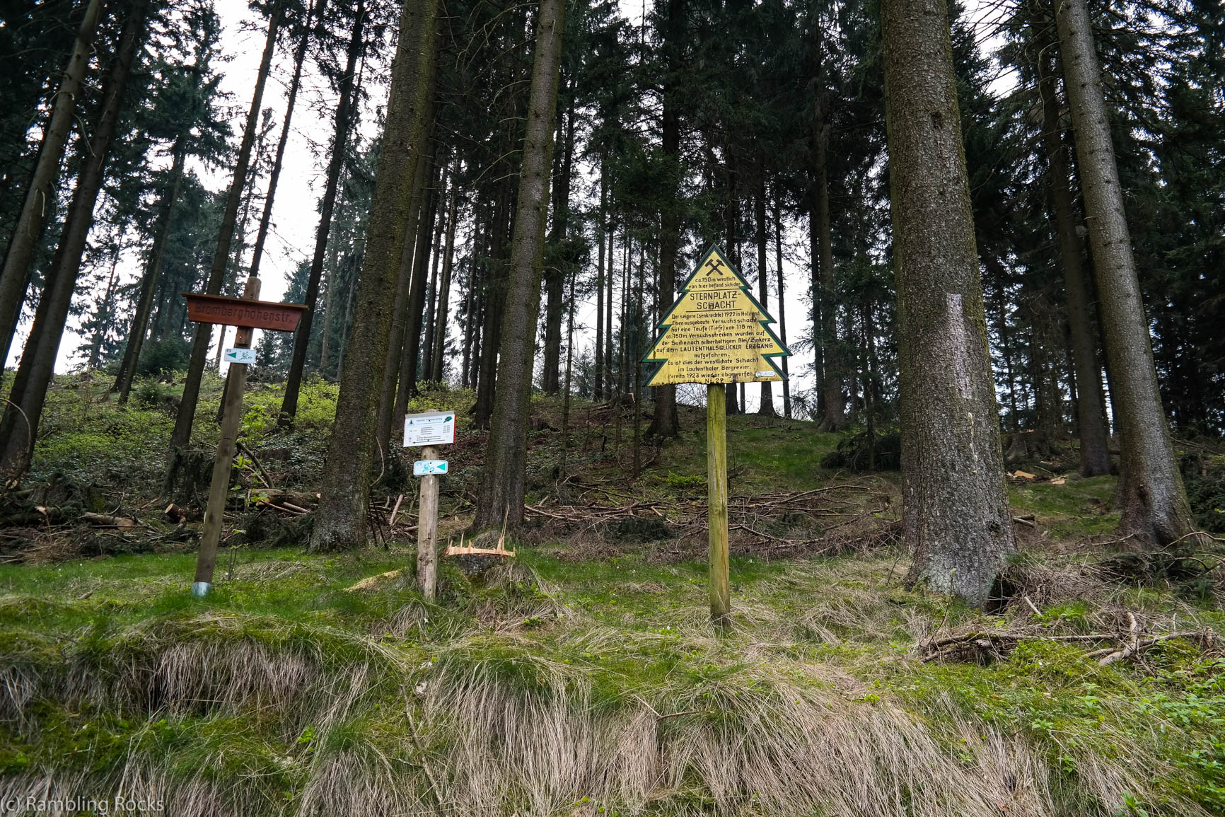 Sternplatz im Harz