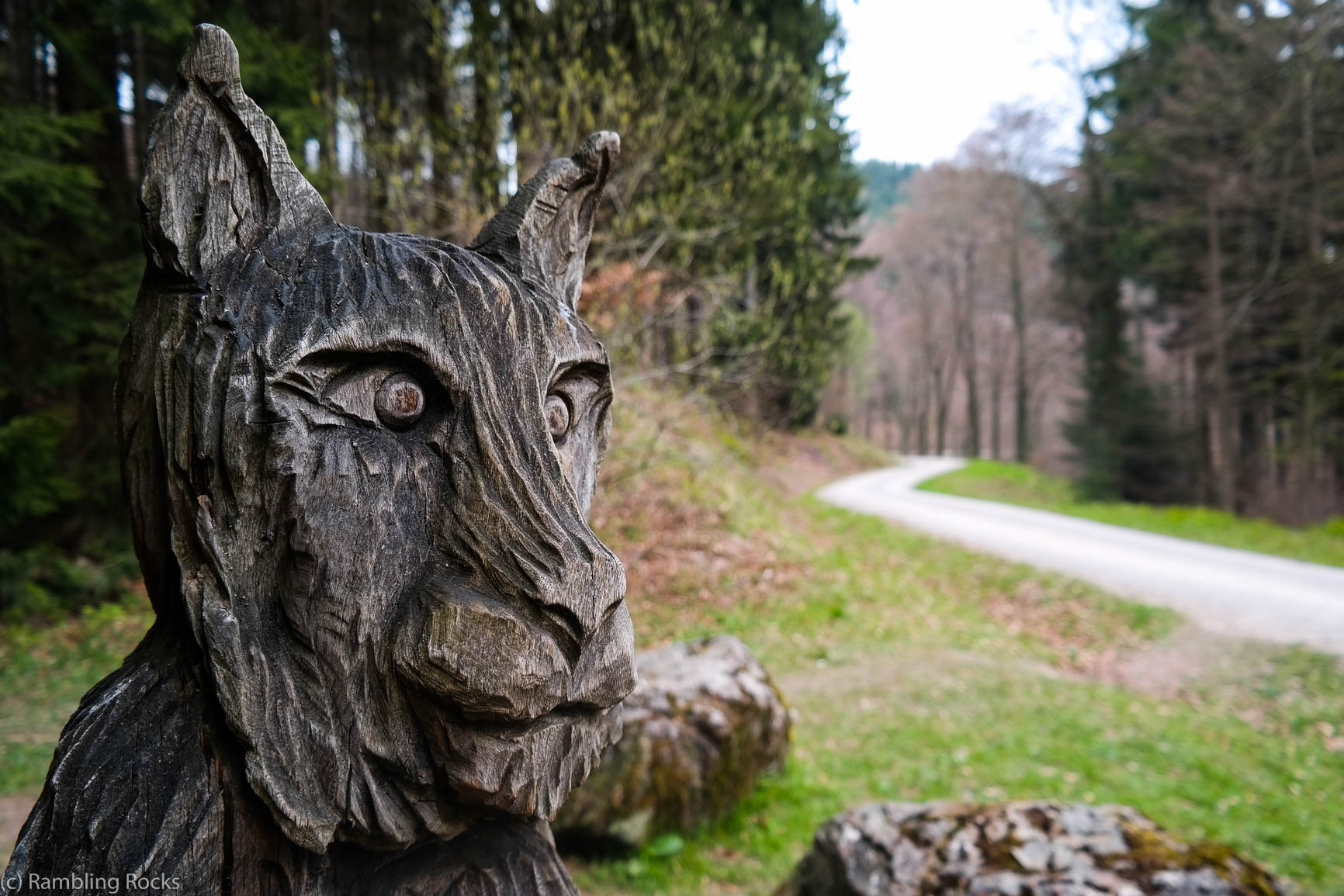 Luchsstein Harz