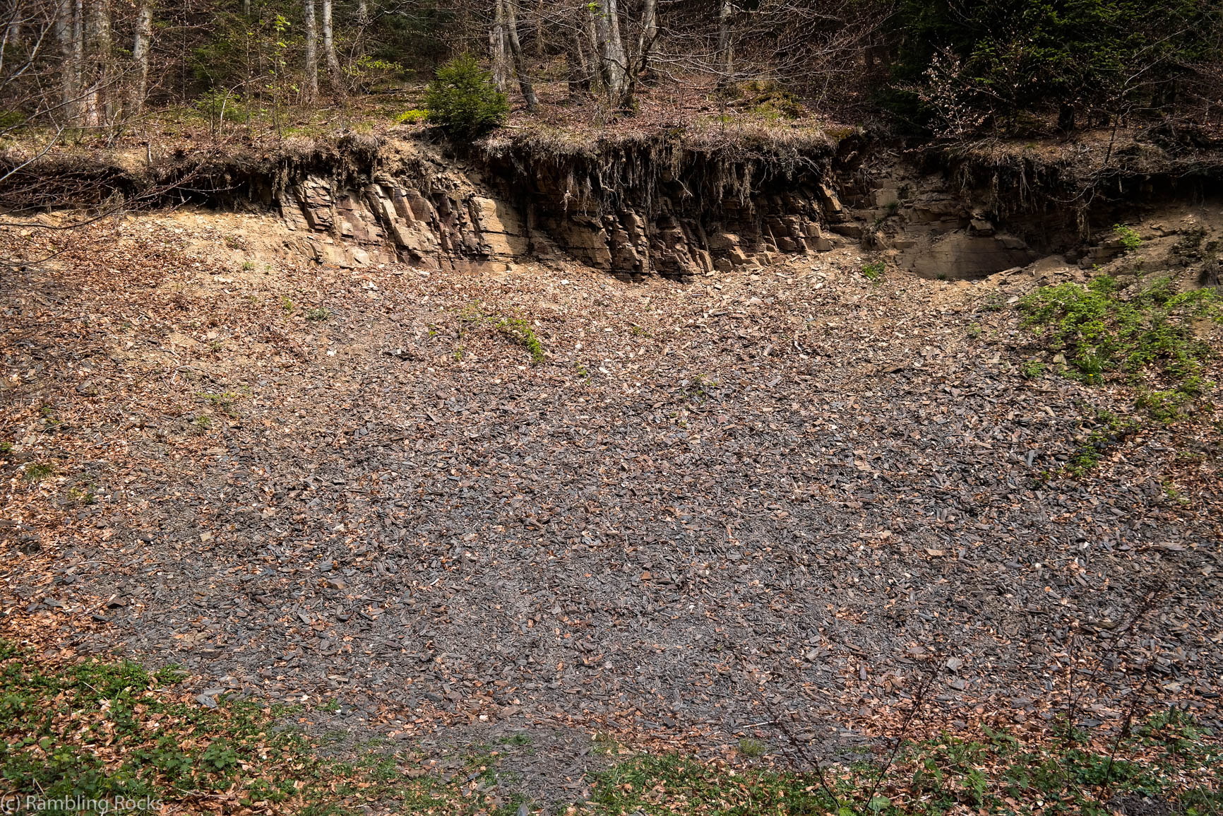 Halde Trogtal Geologie