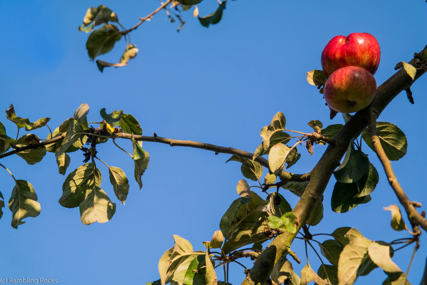 Spätsommer