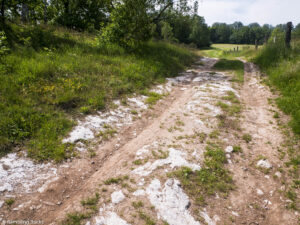 Karstwanderweg (1 Von 1) 6