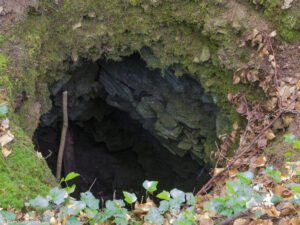Karstwanderweg (1 Von 1) 7