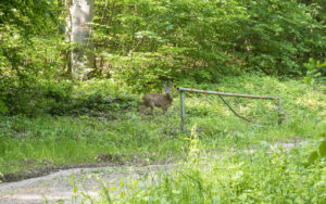 Karstwanderweg (1 Von 1) 8
