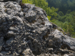 Karstwanderweg (1 Von 1) 4