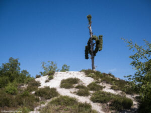 Karstwanderweg (1 Von 1) 5