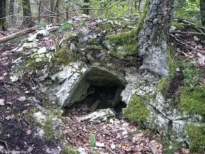 Karstwanderweg (1 Von 1)