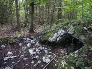 Karstwanderweg (1 Von 1) 2