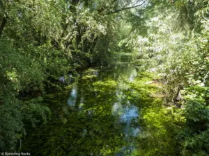 Karstwanderweg (1 Von 1) 3