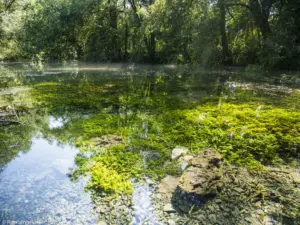 Karstwanderweg (1 Von 1)
