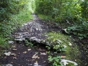 Karstwanderweg (1 Von 1) 4