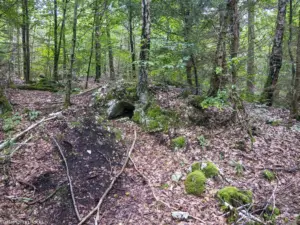 Karstwanderweg (1 Von 1) 5