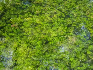 Karstwanderweg (1 Von 1) 5