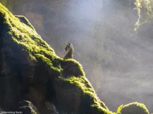 Karstwanderweg (1 Von 1) 6