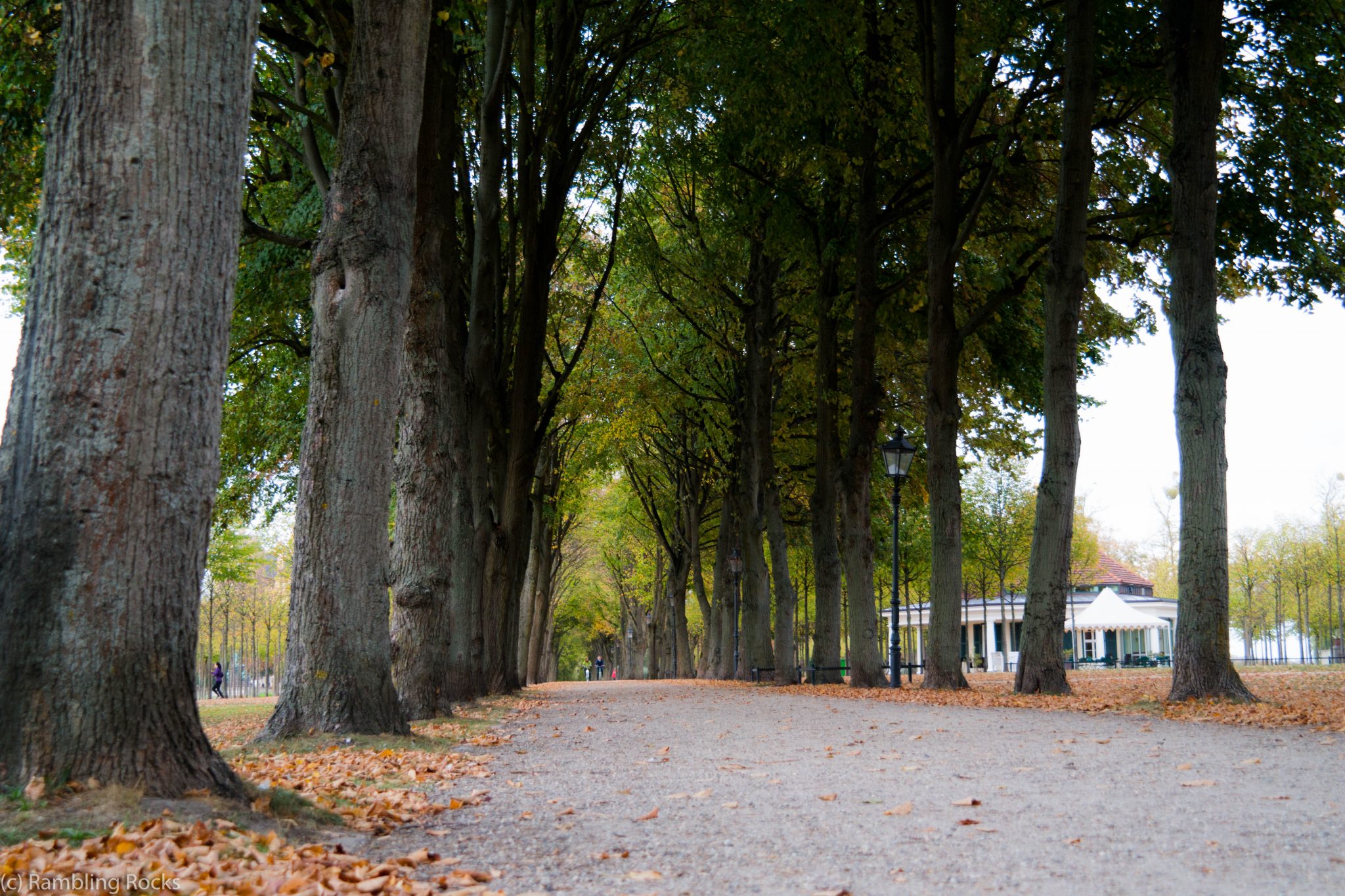 Schwerin Allee