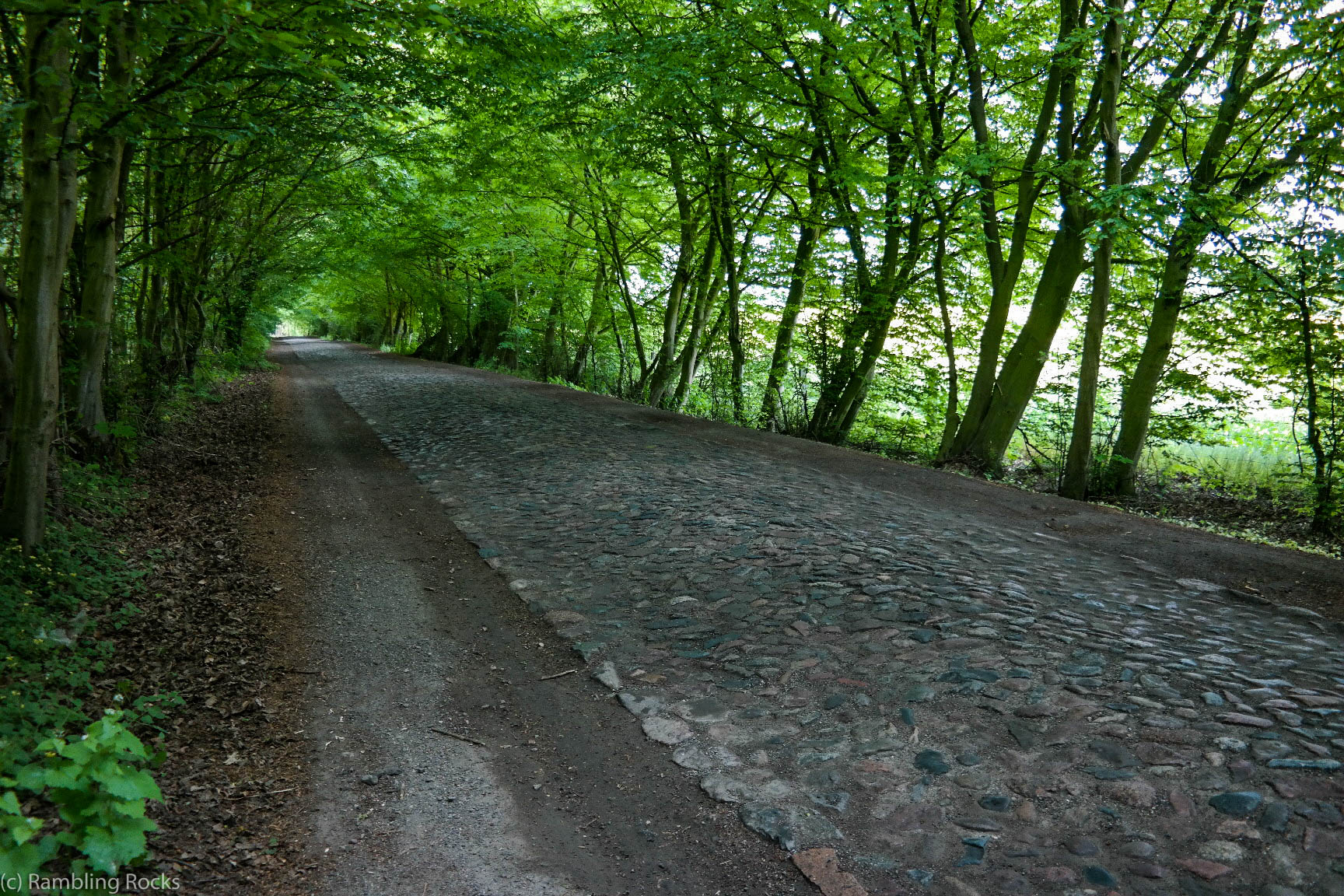 Allee bei Schwerin