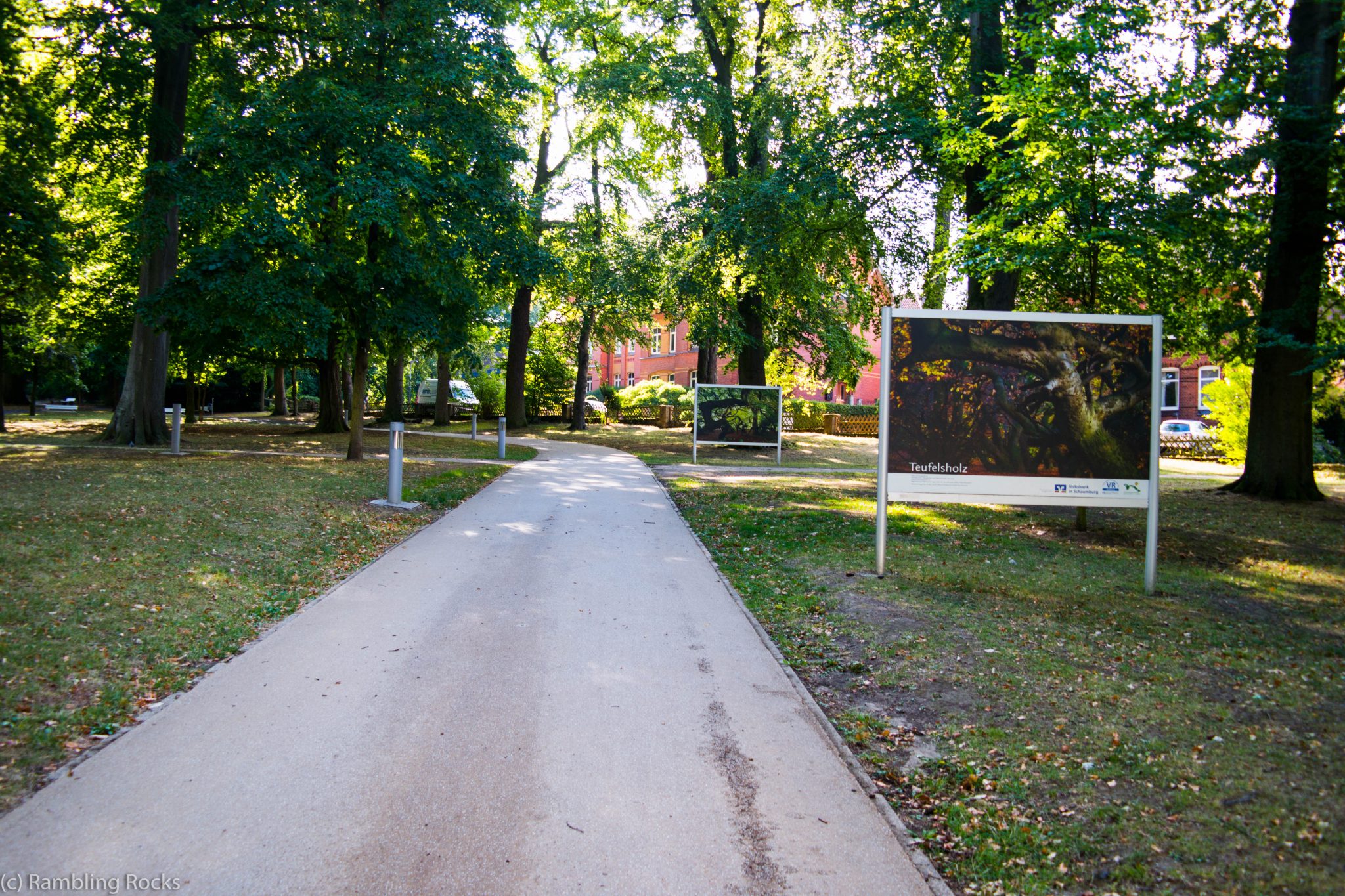 Wandern Süntelbuchen