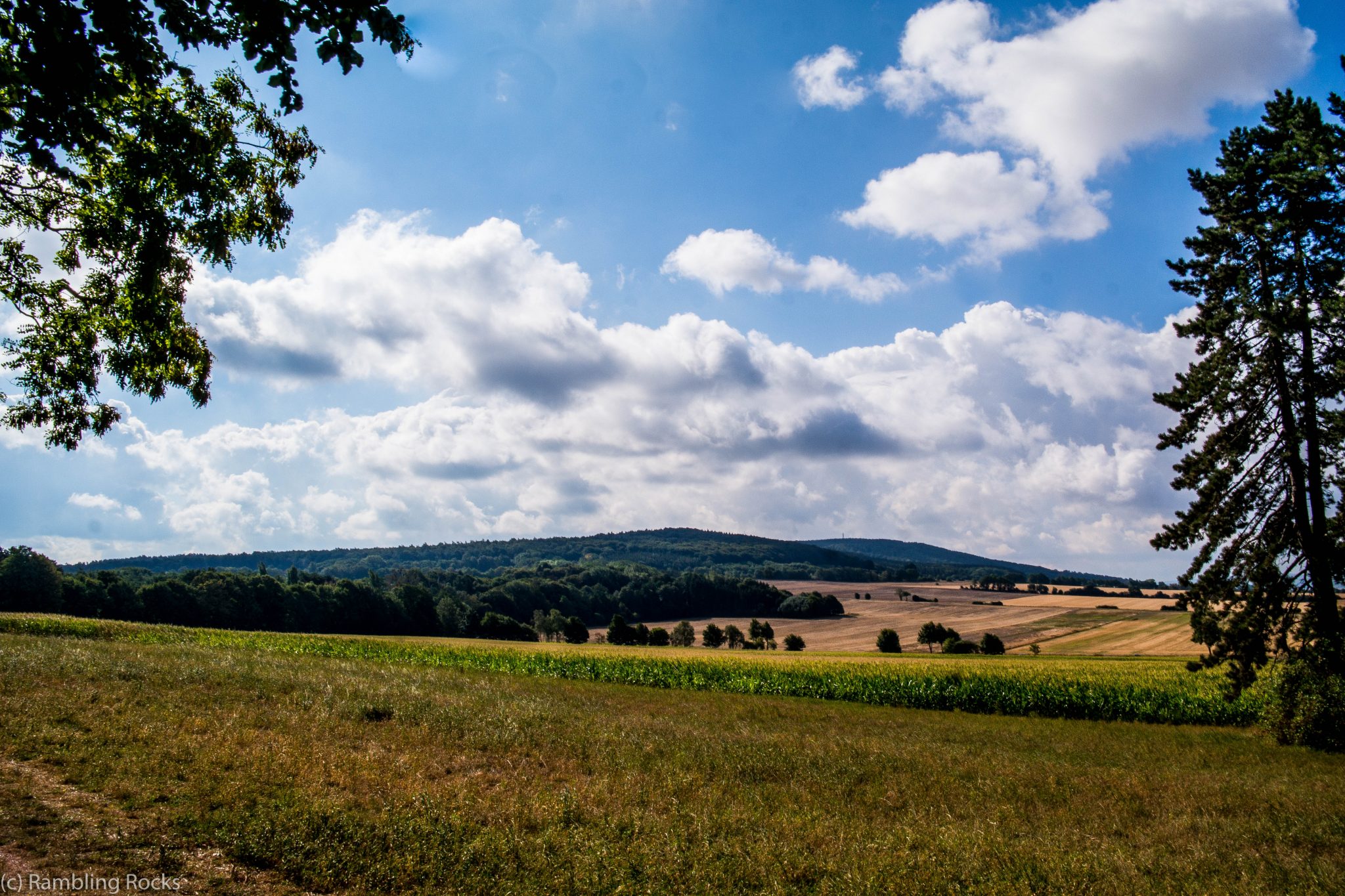 Deister Titelbild Sommer