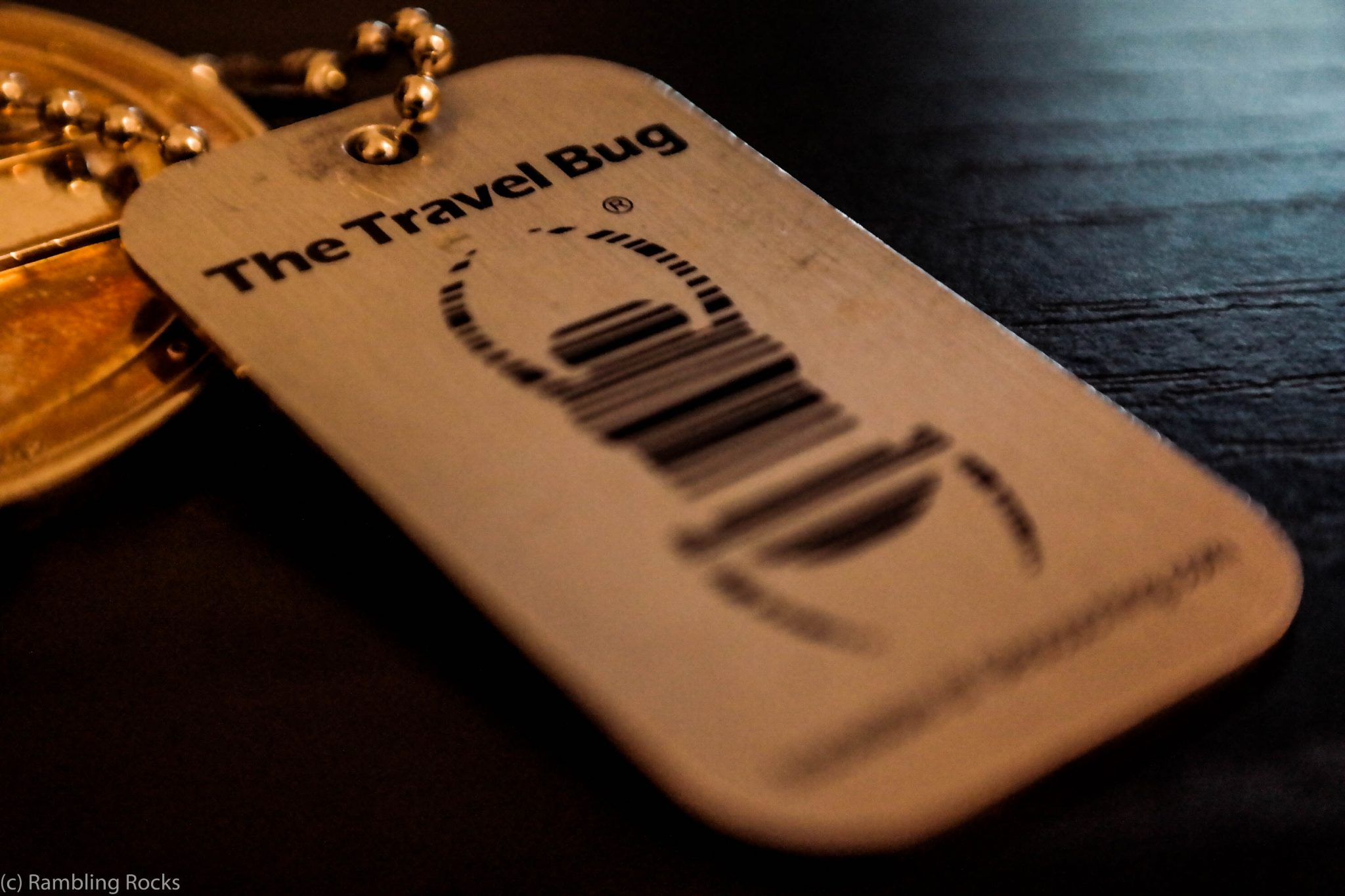 Geocaching Travelbug