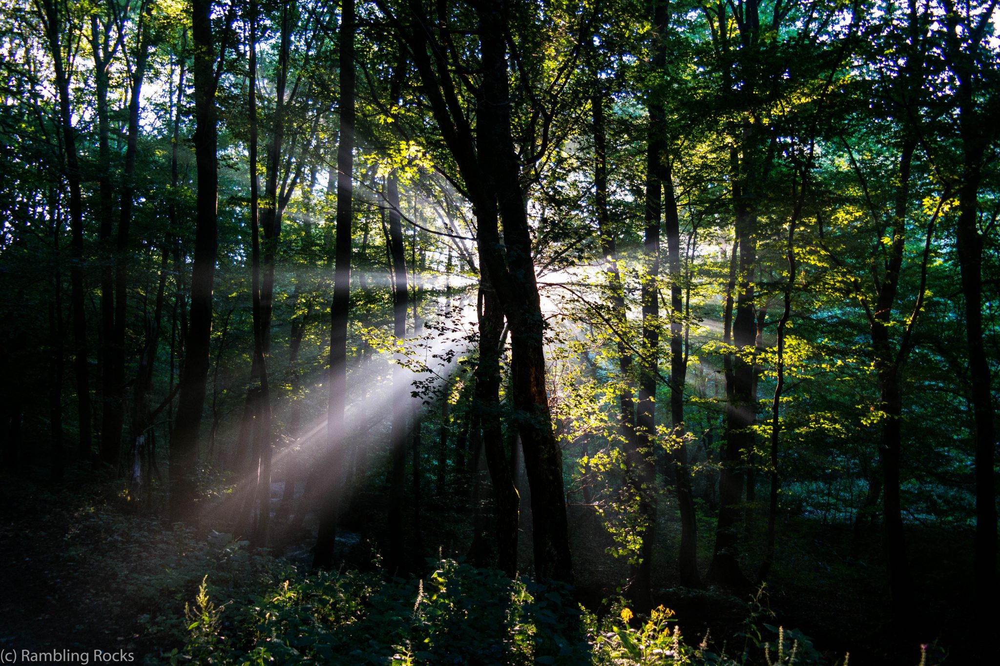 Morgendämmerung