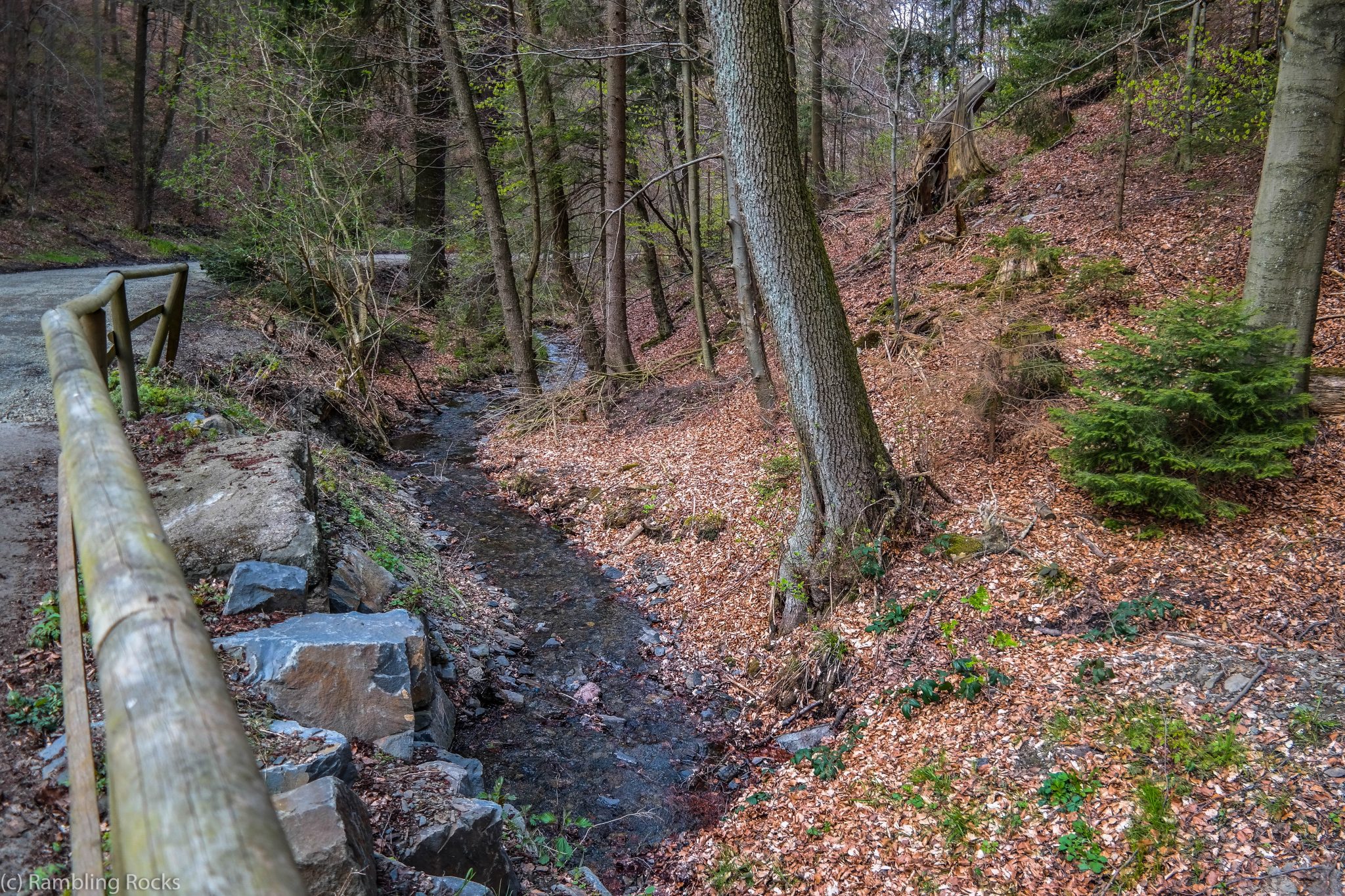 Wolfshagen im Harz