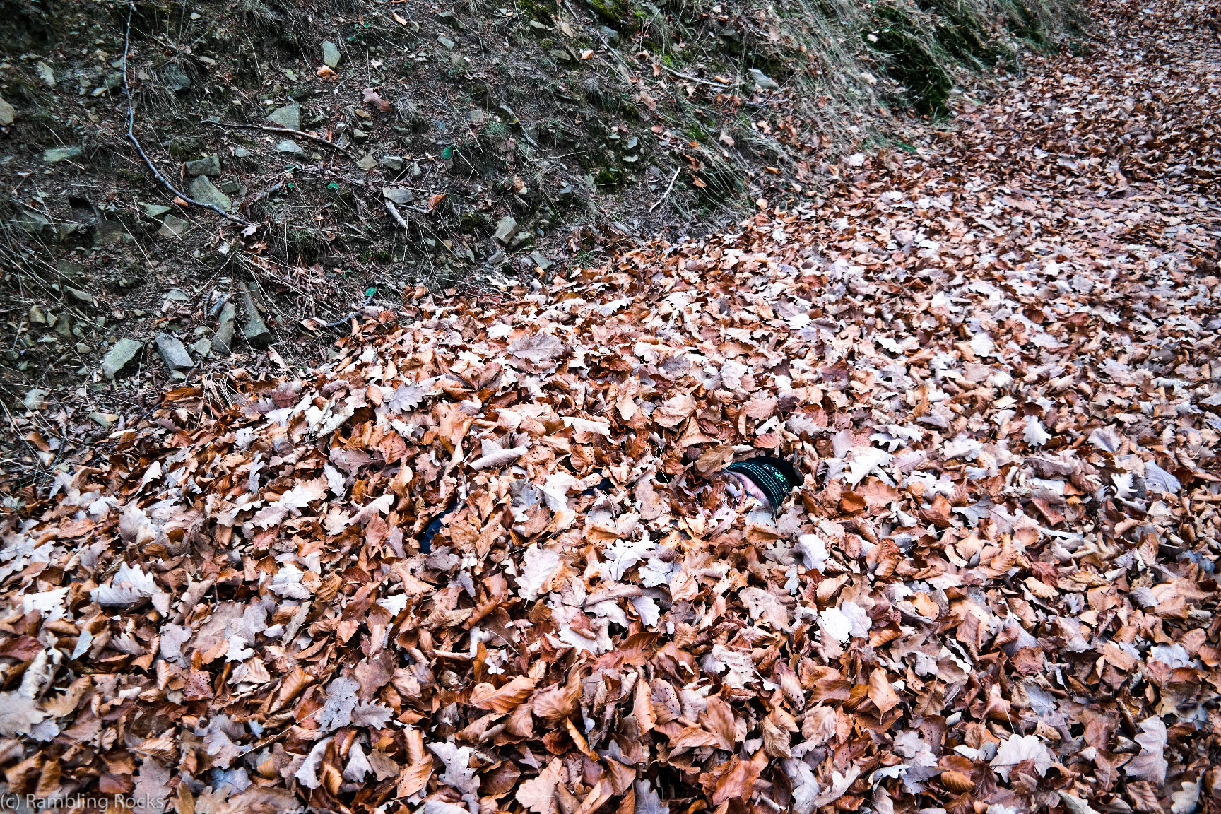 Ben im Blätterhaufen