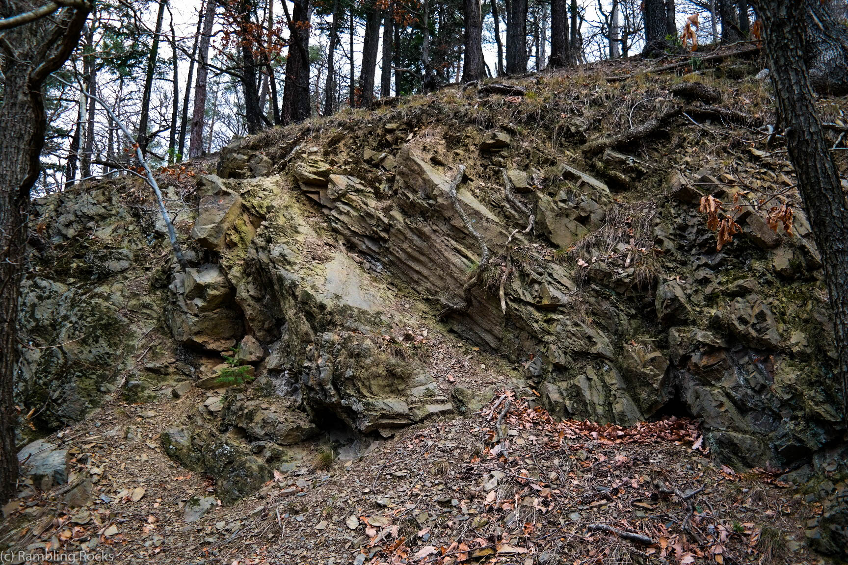 Verschobene Grauwacke