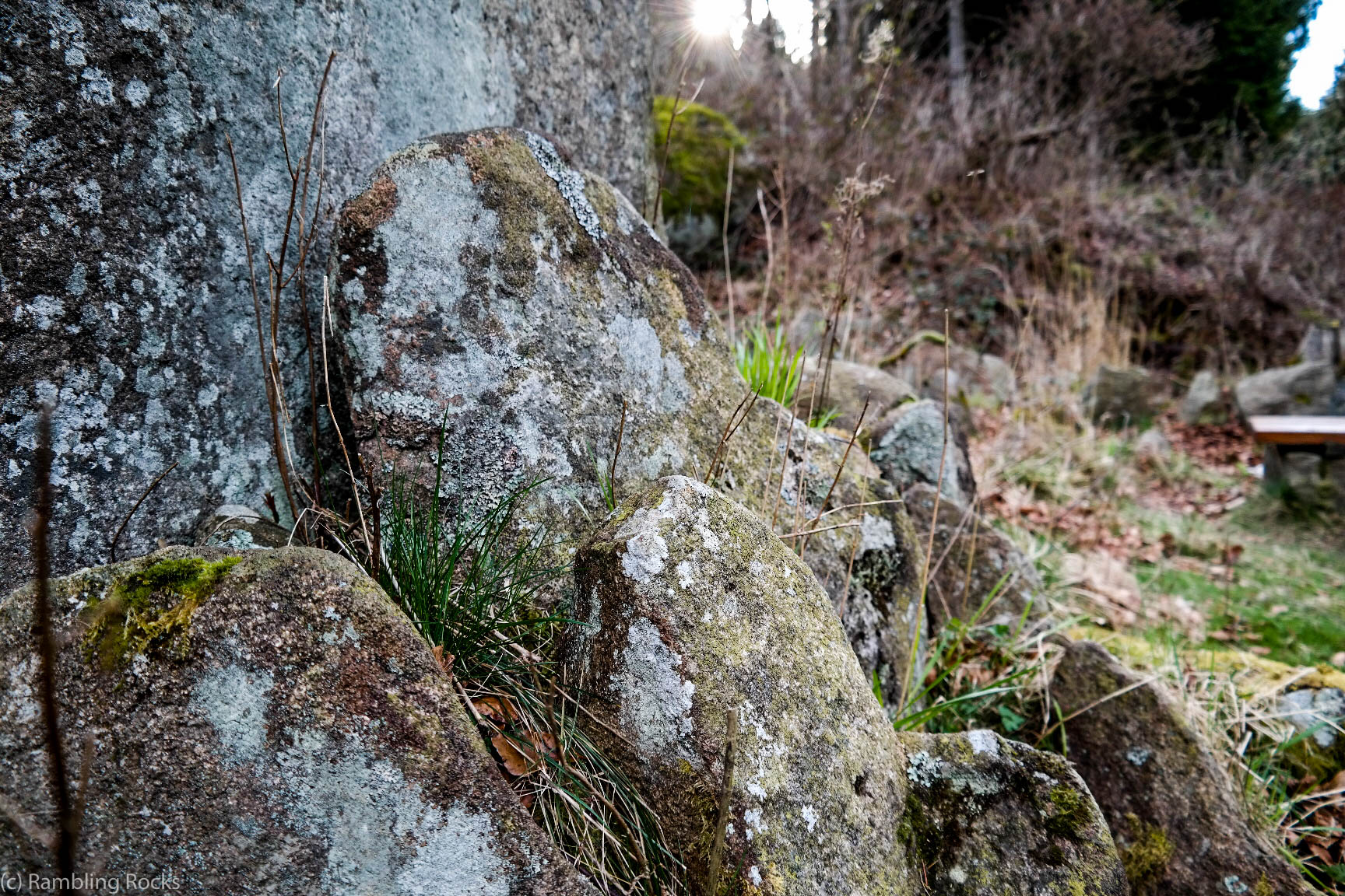 Oberförster Koch Denkmal