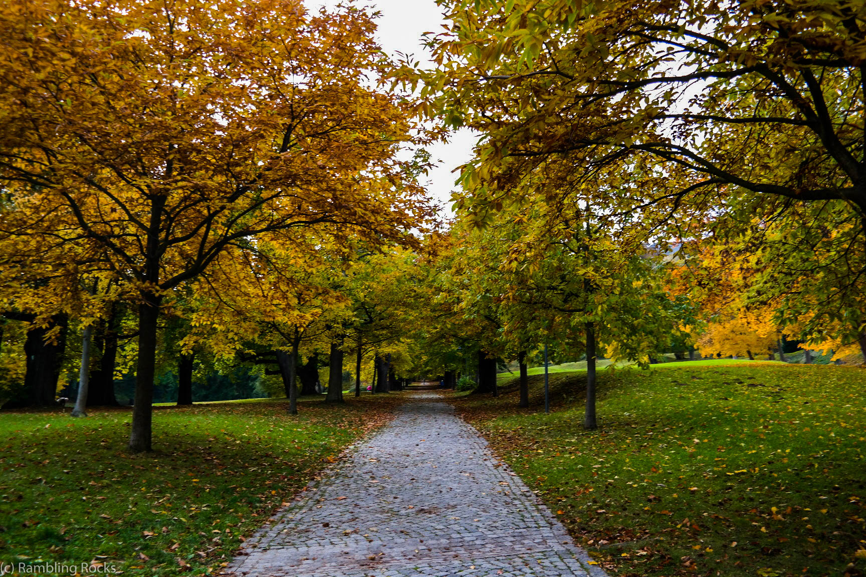 Herbstspaziergang