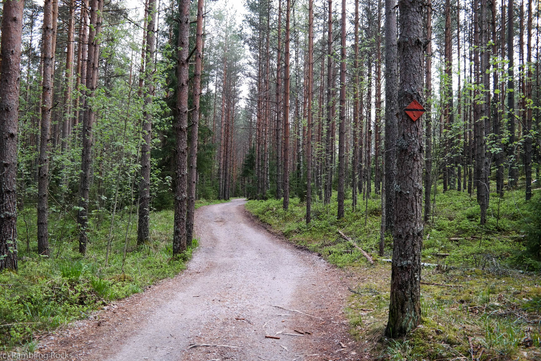 Farbsystem Nuuksio