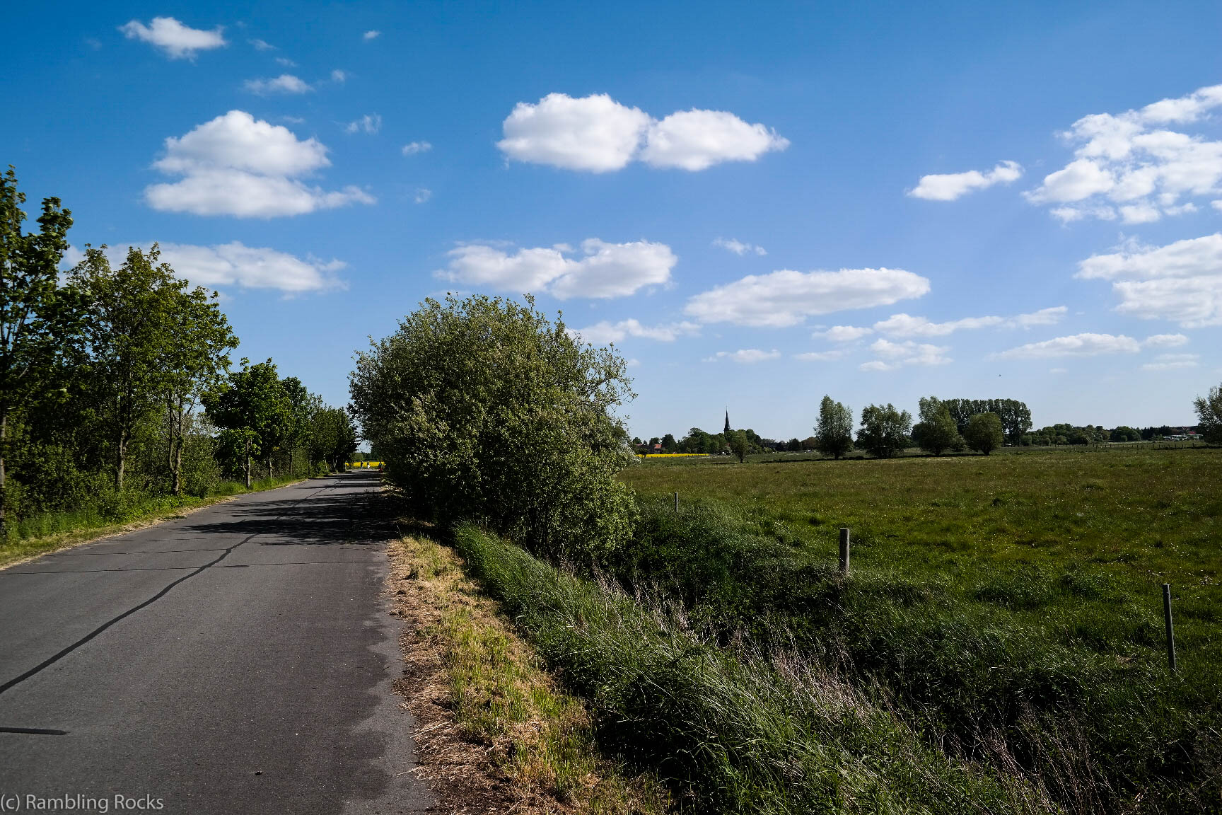 Titelbild Siebendörfer Moor