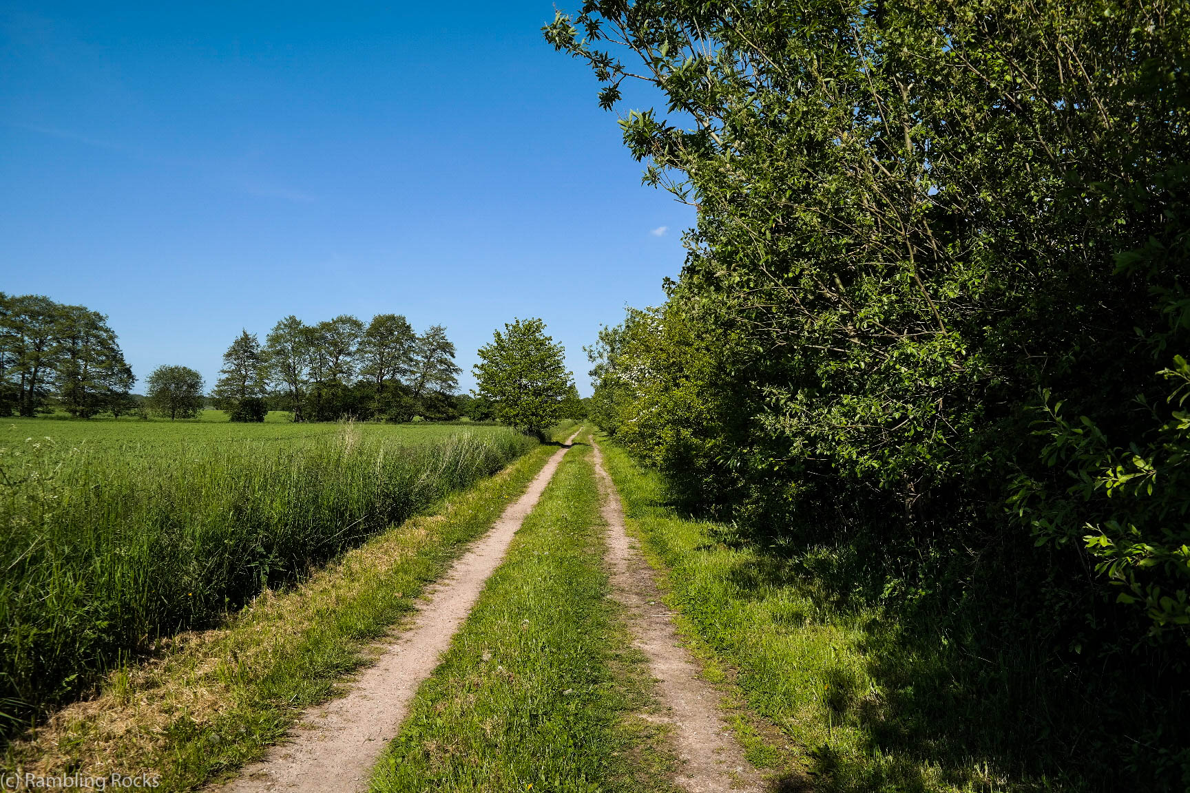 Siebendörfer Moor