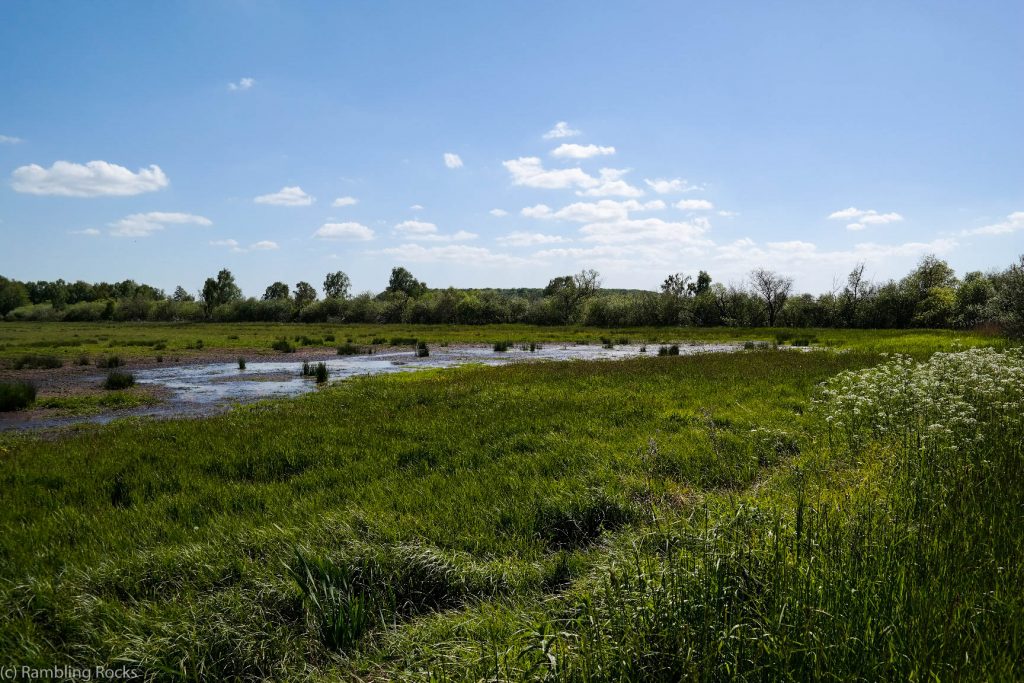 Siebendörfer Moor