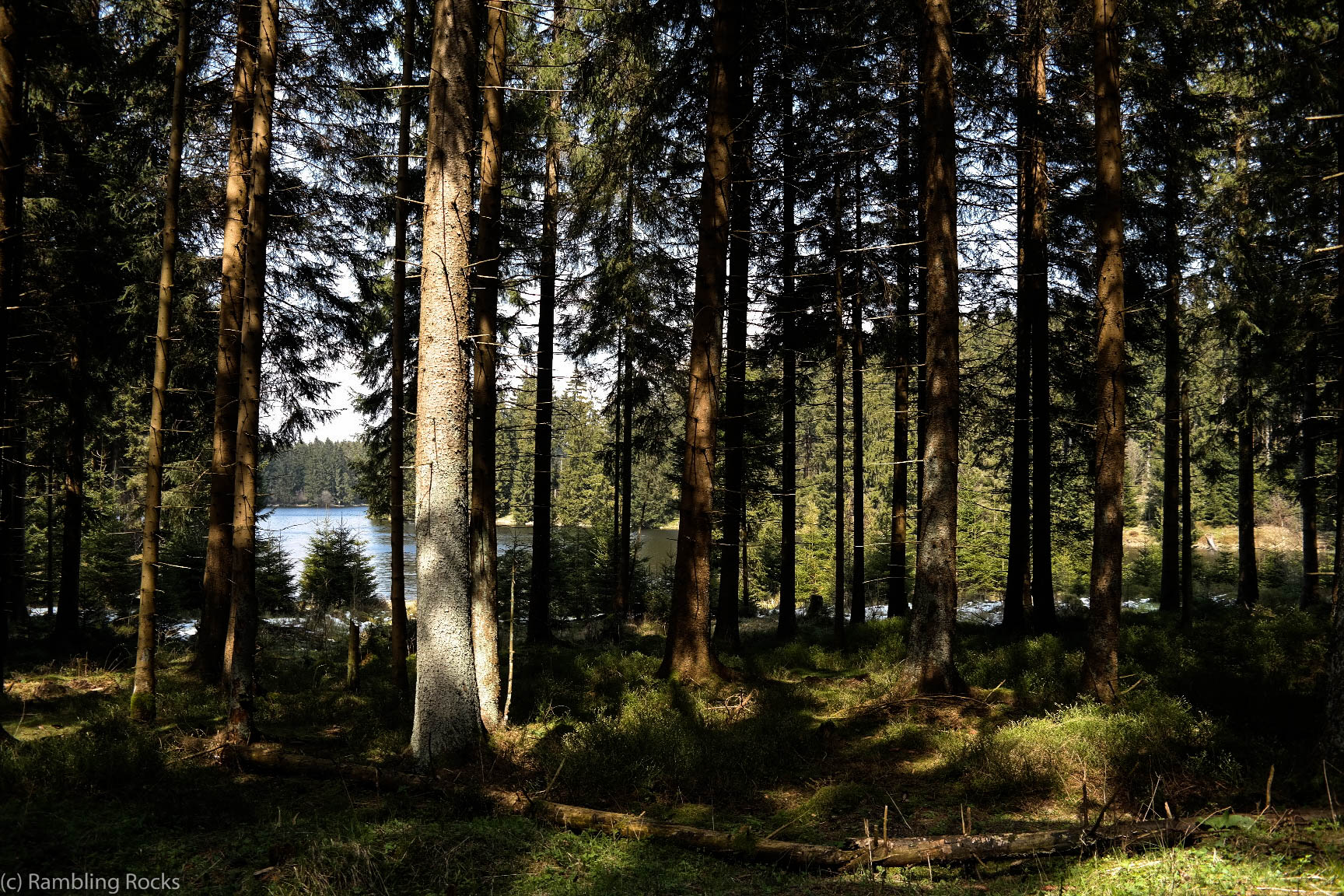 Bärenbrucher Teich Blick